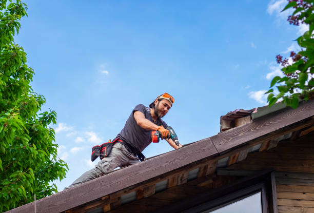 Best Roof Insulation Installation  in Bay St Louis, MS